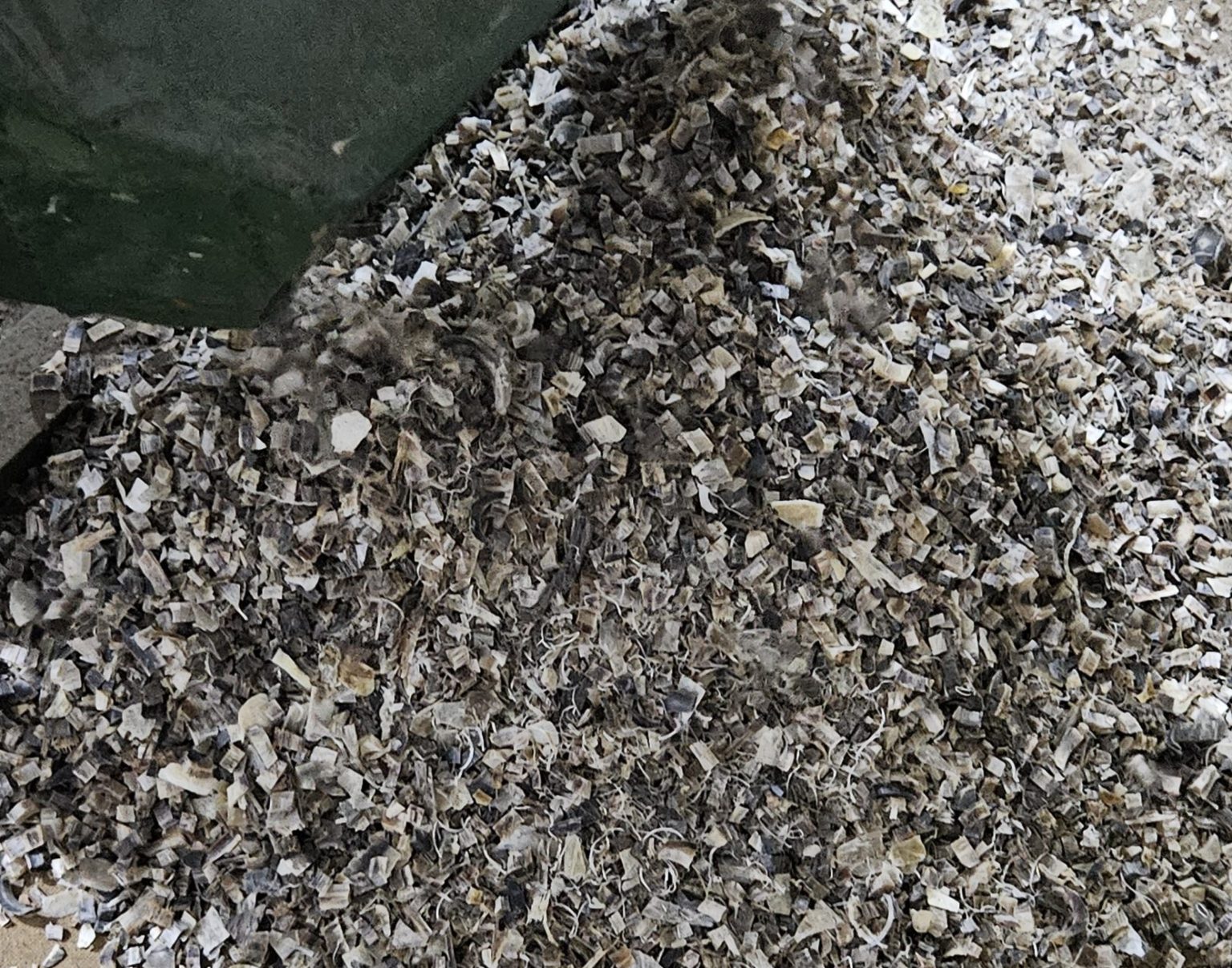 Crushed Horns and Hooves